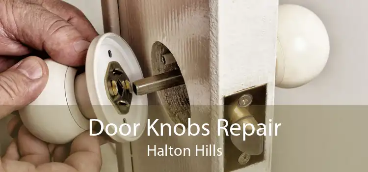 Door Knobs Repair Halton Hills