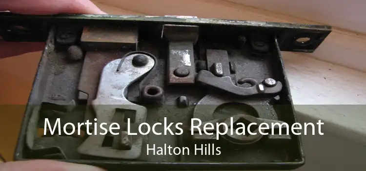 Mortise Locks Replacement Halton Hills