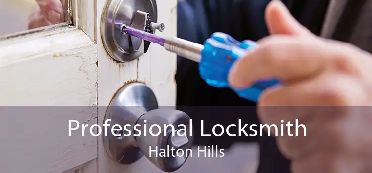 Professional Locksmith Halton Hills